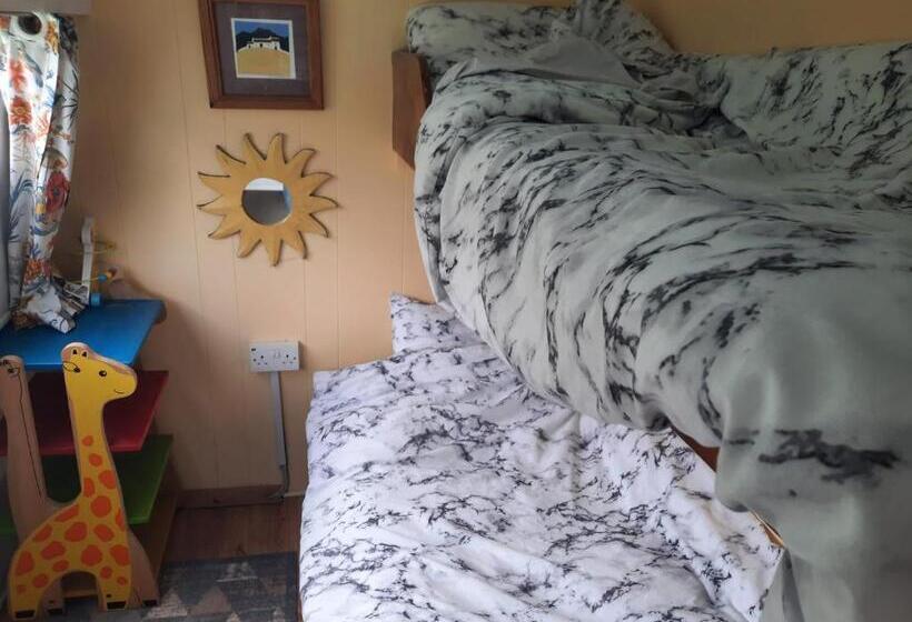 膳宿费 D Arc In The Park