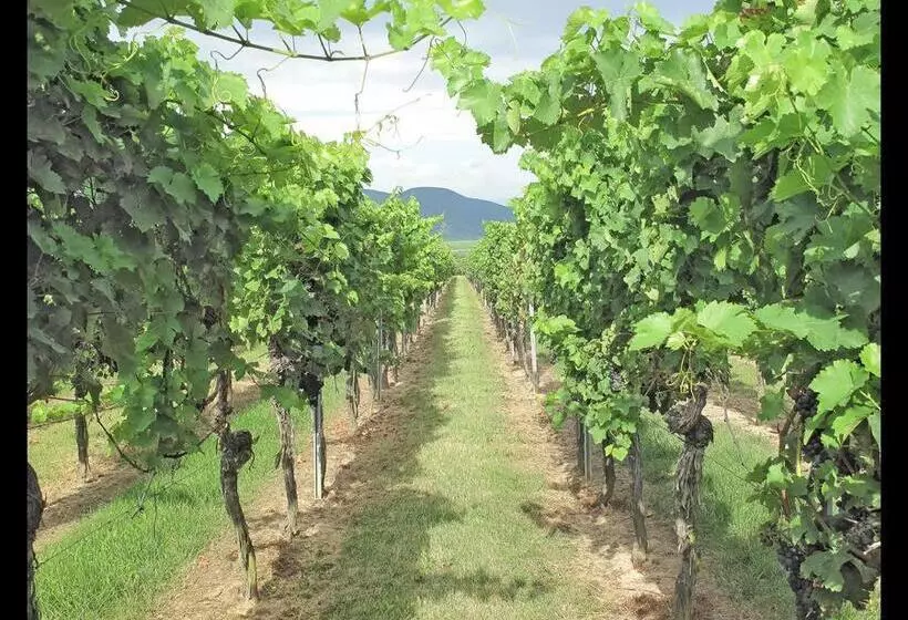 Majatalo Gästehaus Weingut Glas