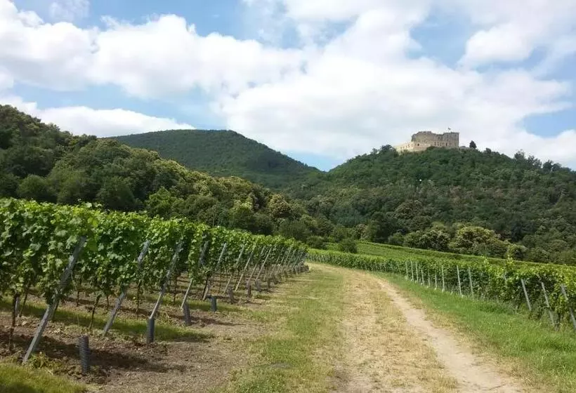 Majatalo Gästehaus Weingut Glas