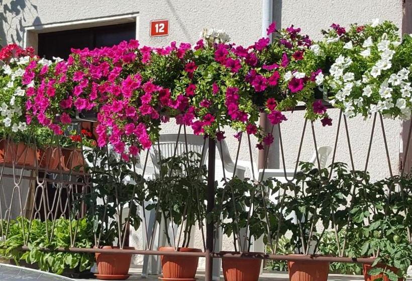 پانسیون Hostel By Guest House Izola