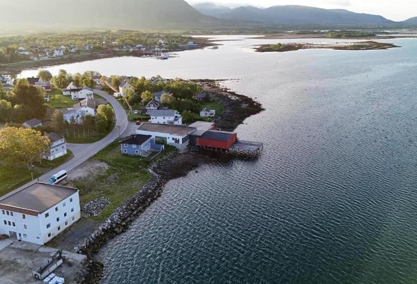 ペンション Risøyhamn Kafe