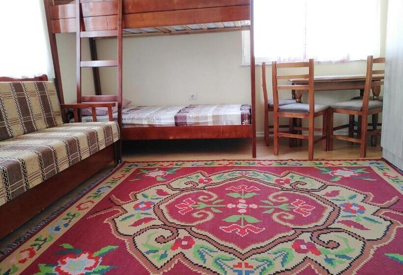 پانسیون Rowdy Guest House