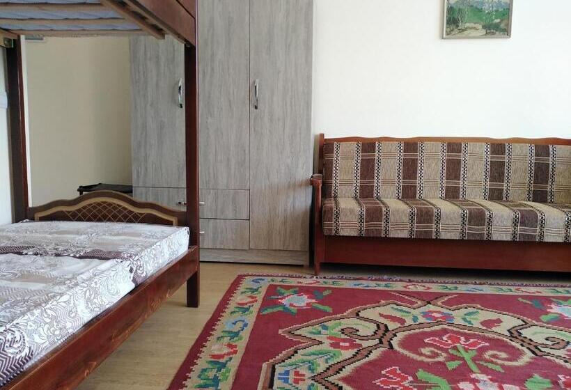 پانسیون Rowdy Guest House