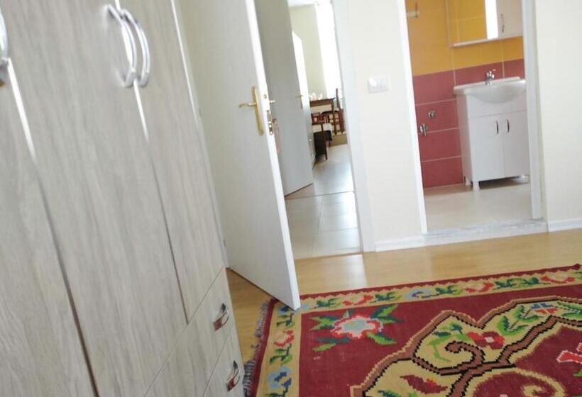 پانسیون Rowdy Guest House