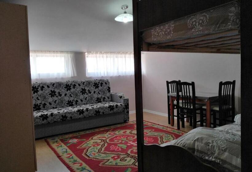 پانسیون Rowdy Guest House