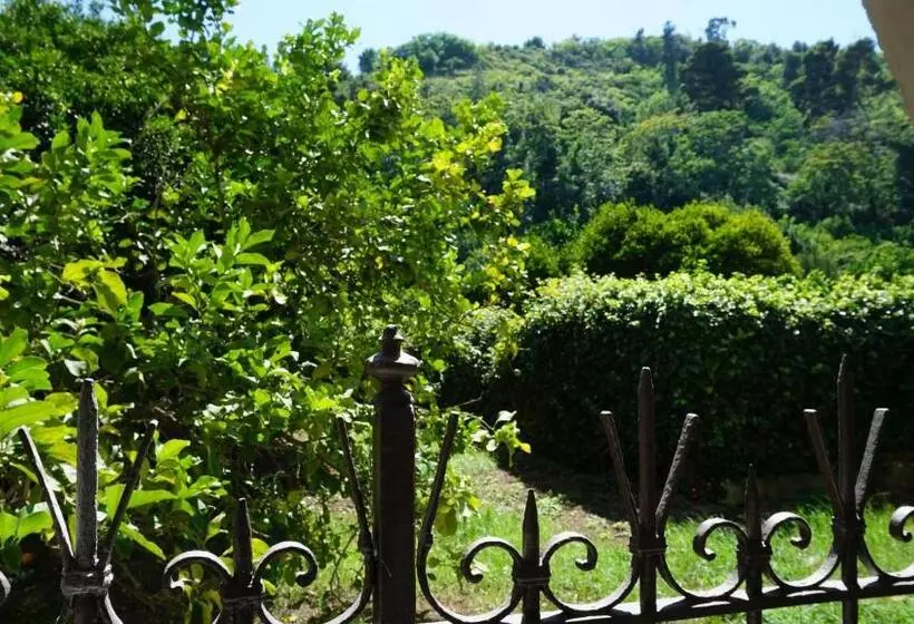 ペンション Shanti Rooms & Apartments Lucullo