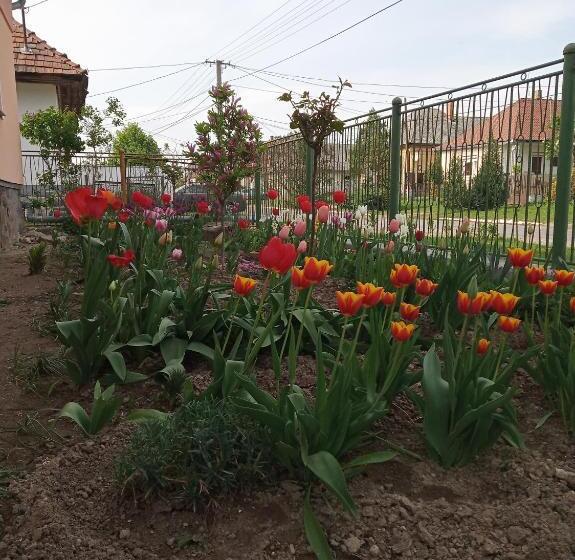 膳宿费 Sprencz Családi Major