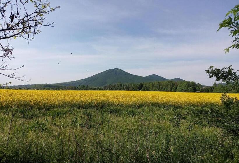 膳宿费 Sprencz Családi Major