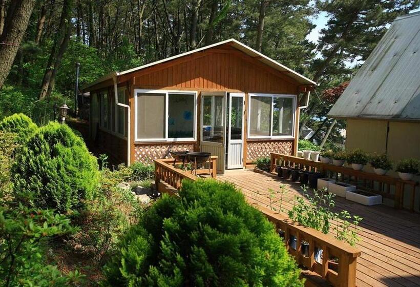 Pensión Taean Gonggan 487