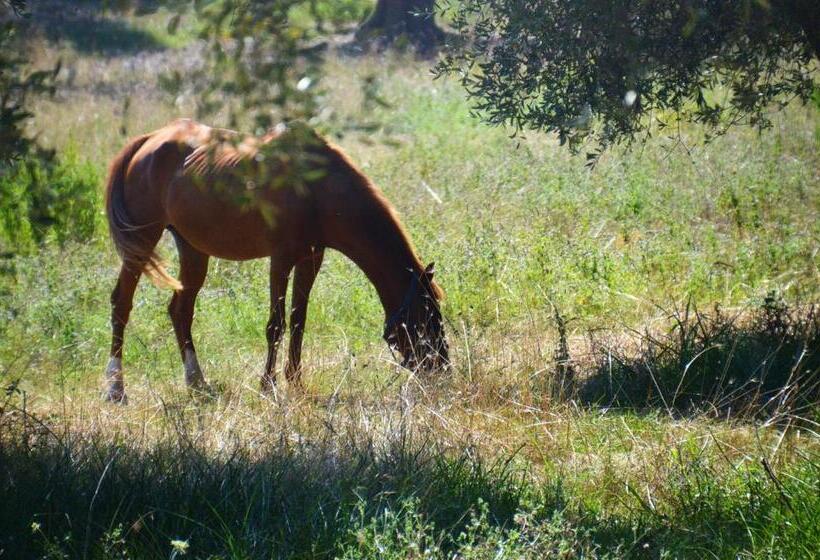 צימר Casa Masseria Le Ville