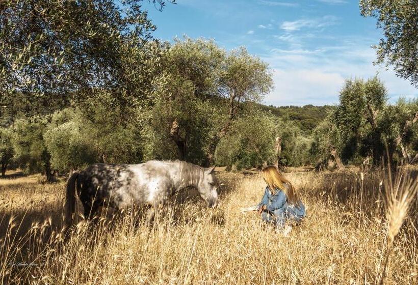 צימר Casa Masseria Le Ville