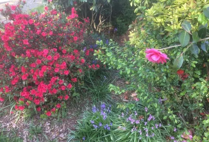 Aamiaismajoitus (B&B) La Chambre Montbrault