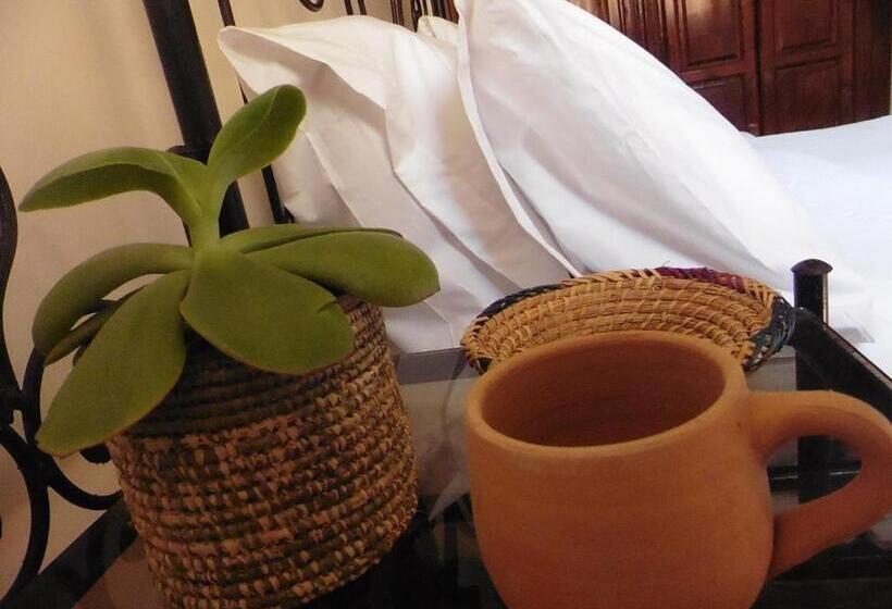 تختخواب و صبحانه Olympe Surf & Yoga