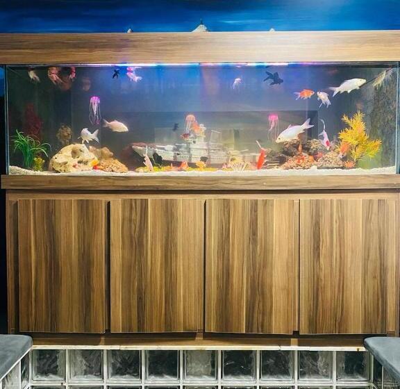 هتل Hostel Anprado 5