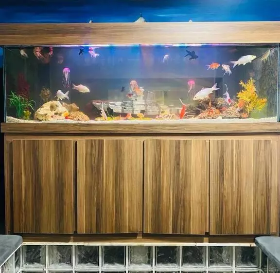 ホテル Hostel Anprado 5