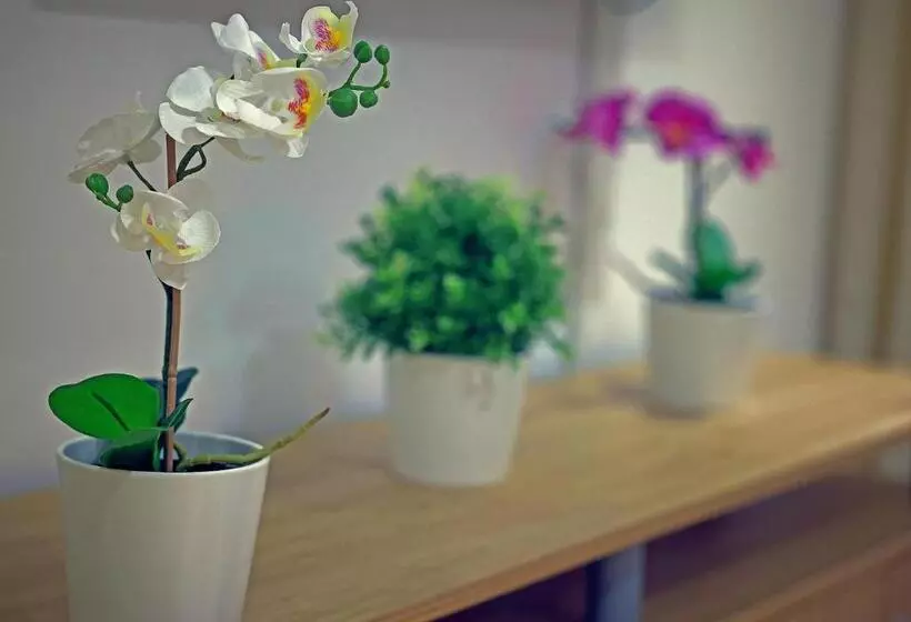 هتل La Casa Blanca