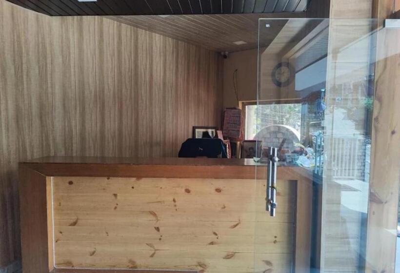 Payal Mall Road Nainital Lake View Hotel Prime Location With Spacious Room Quality Best Seller