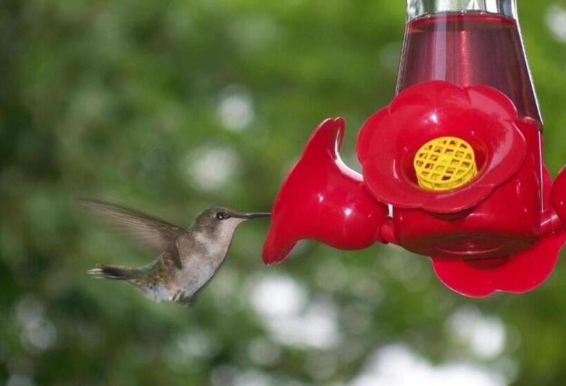 Payal Mall Road Nainital Lake View Hotel Prime Location With Spacious Room Quality Best Seller