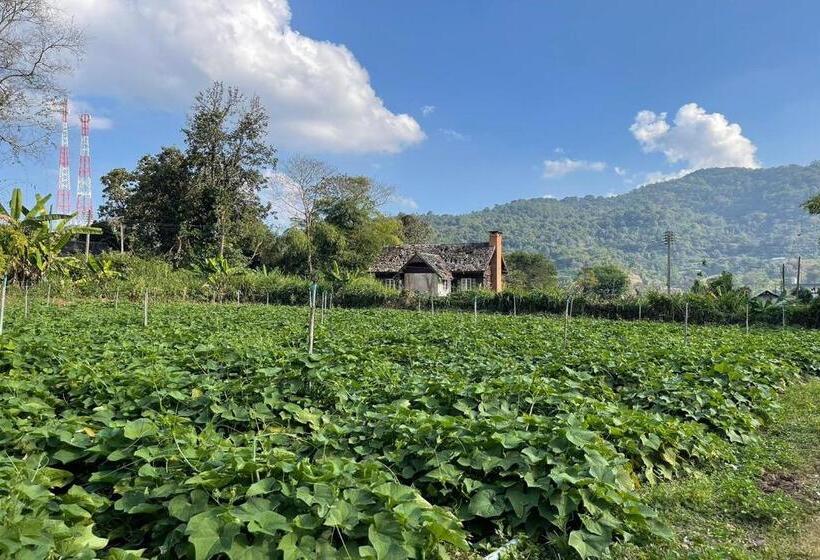 בית מלון כפרי Phu Ing Fah Resort