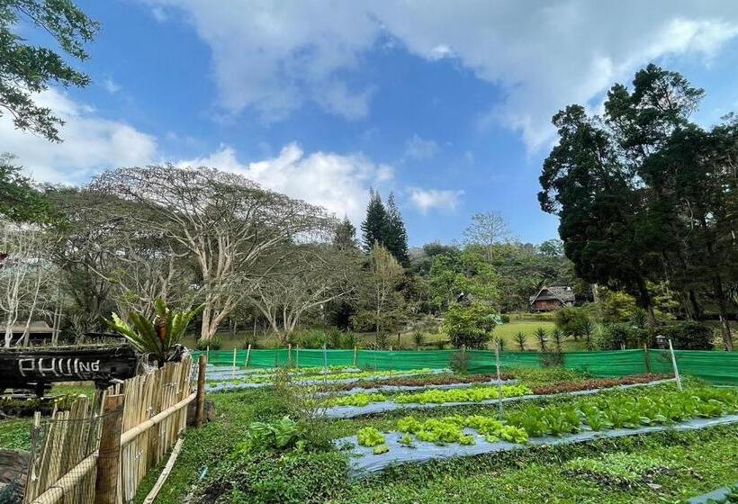 בית מלון כפרי Phu Ing Fah Resort