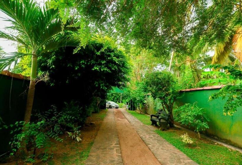 膳宿费 Villa Layoshi