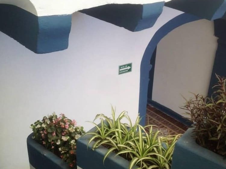 هاستل Blue Bicycle House