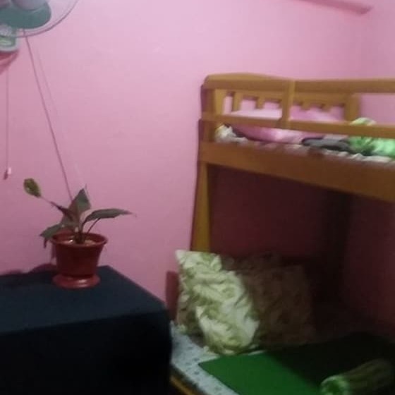 Bed and Breakfast Cvnb Bed & Bath   Hostel