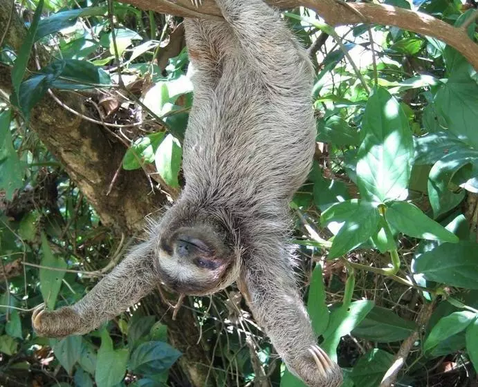 تختخواب و صبحانه Los Secretos Guesthouse