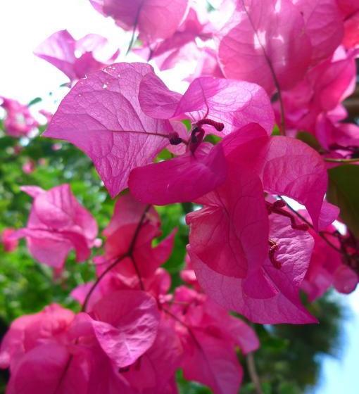 住宿加早餐  Los Secretos Guesthouse