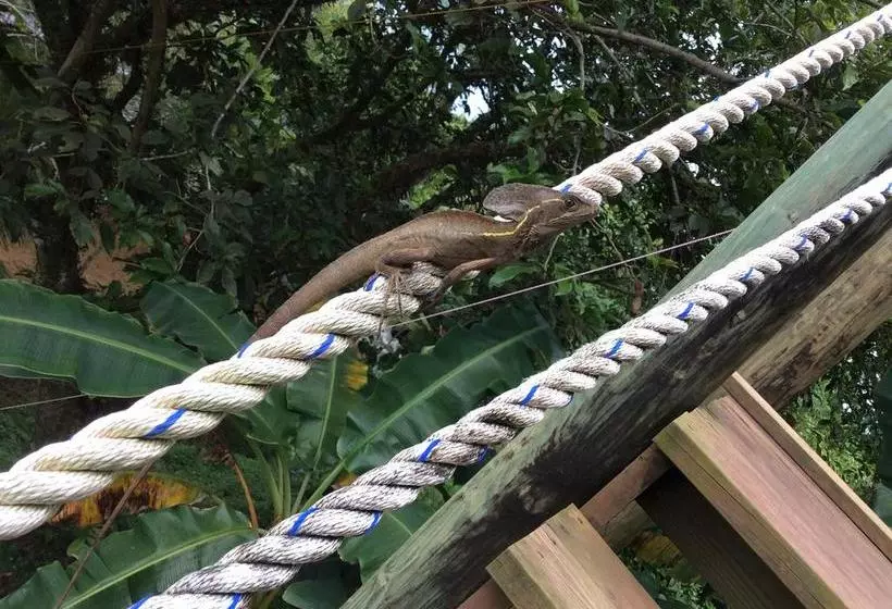 تختخواب و صبحانه Los Secretos Guesthouse