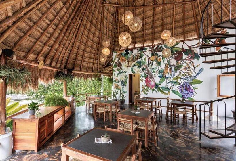 ホテル Aires Bacalar