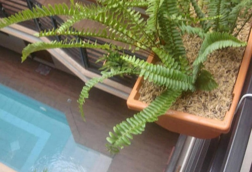 فندق Hidden Pearl