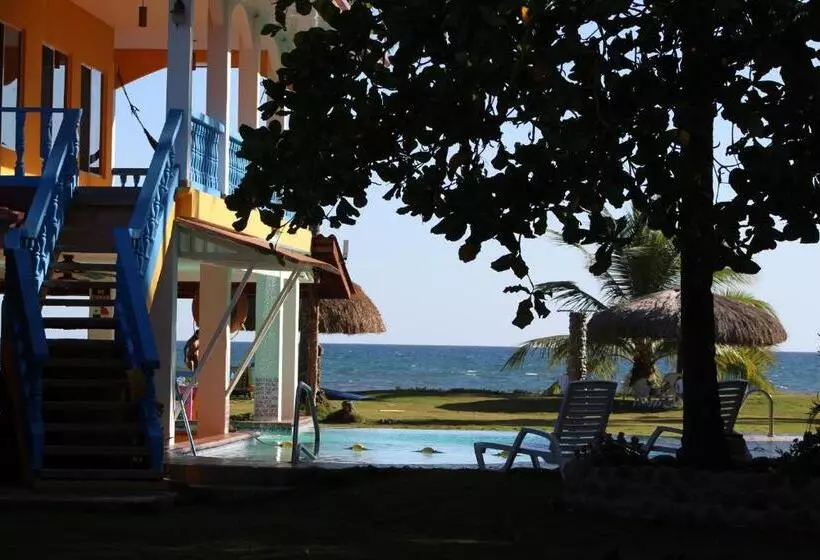 ホテル Las Lajas Beach Resort