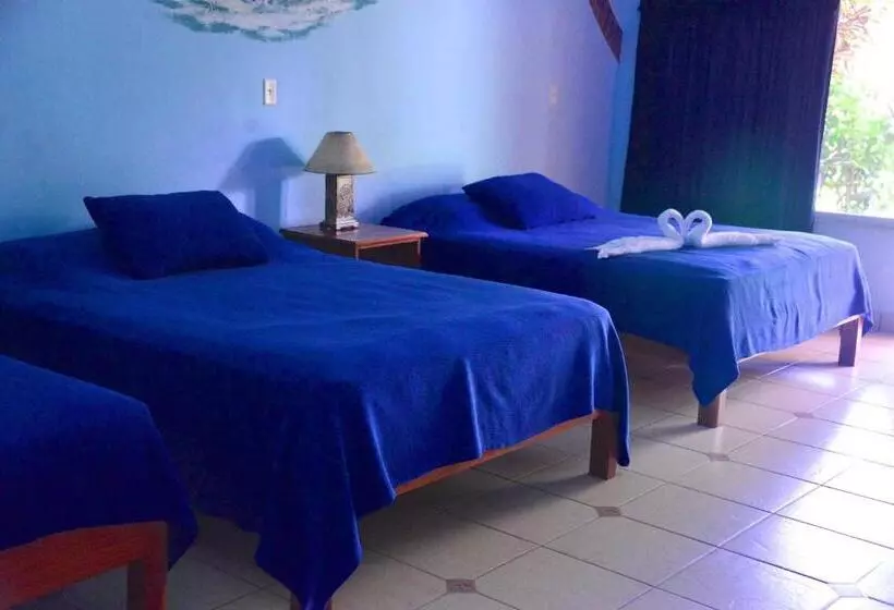 ホテル Las Lajas Beach Resort