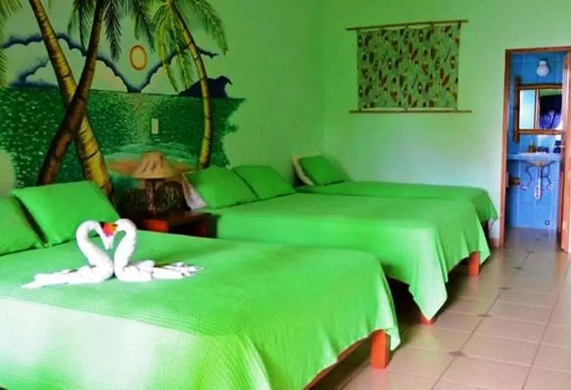 ホテル Las Lajas Beach Resort