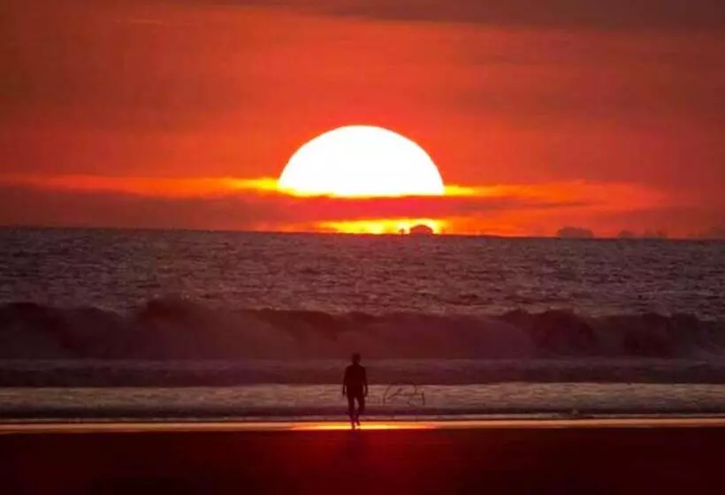 ホテル Las Lajas Beach Resort