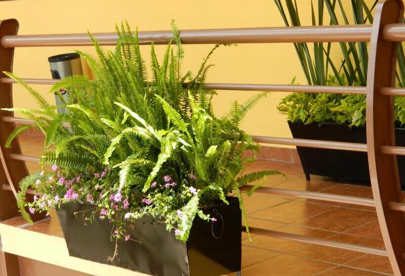 בית מלון כפרי Plaza Bernal