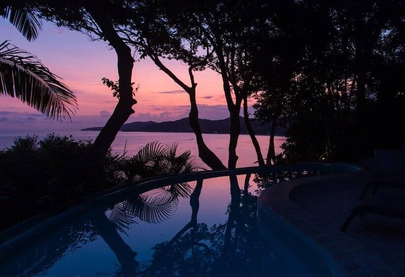 منتجع Amor Boutique