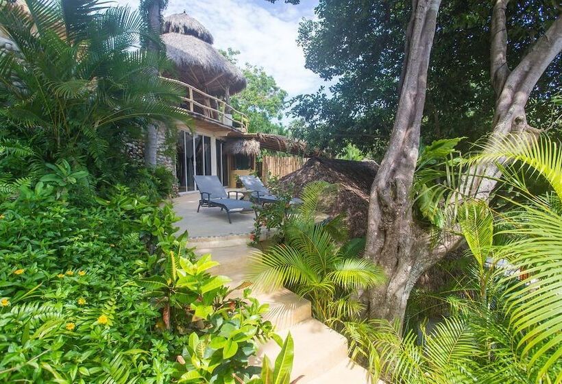 منتجع Amor Boutique