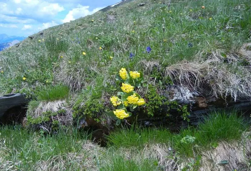 Restaurant Hotel Schermtanne