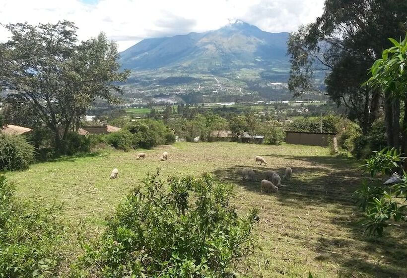 هتل Loma Wasi Village