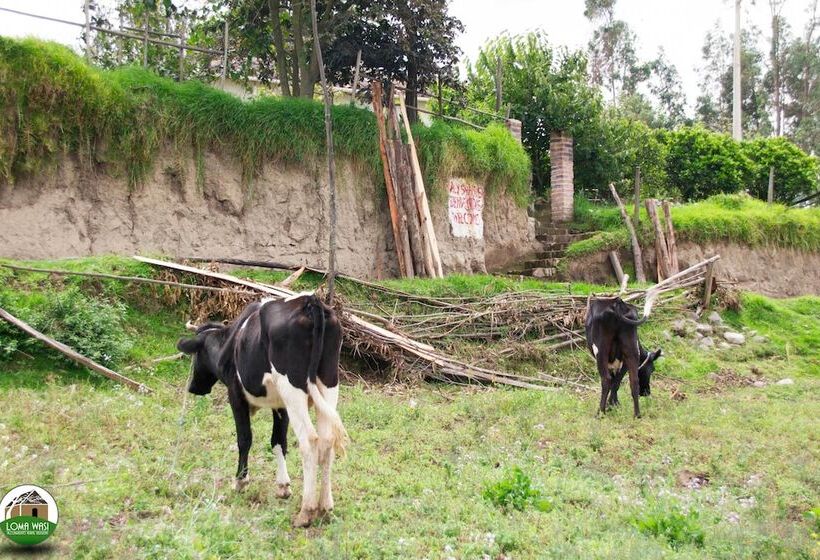 هتل Loma Wasi Village