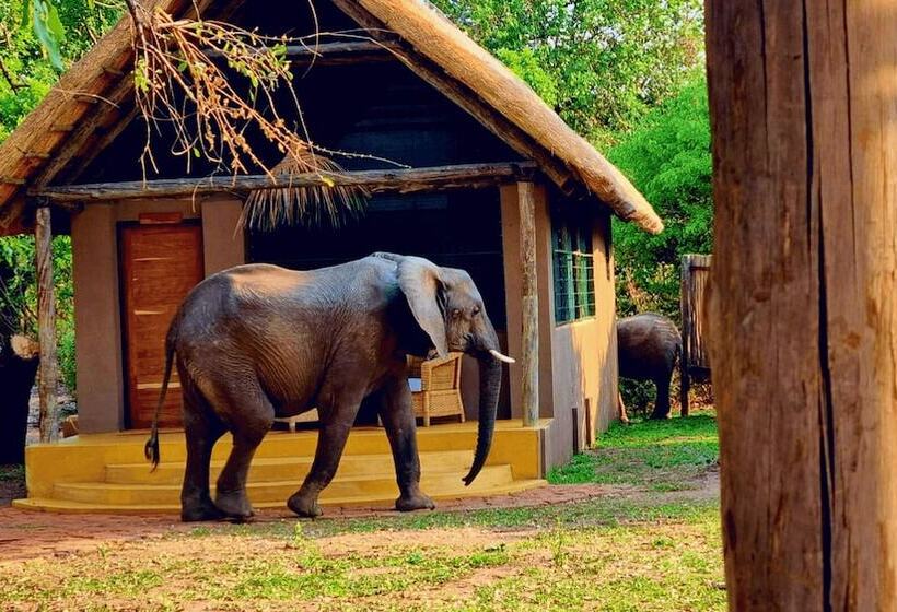 בית מלון כפרי Thornicroft Lodge
