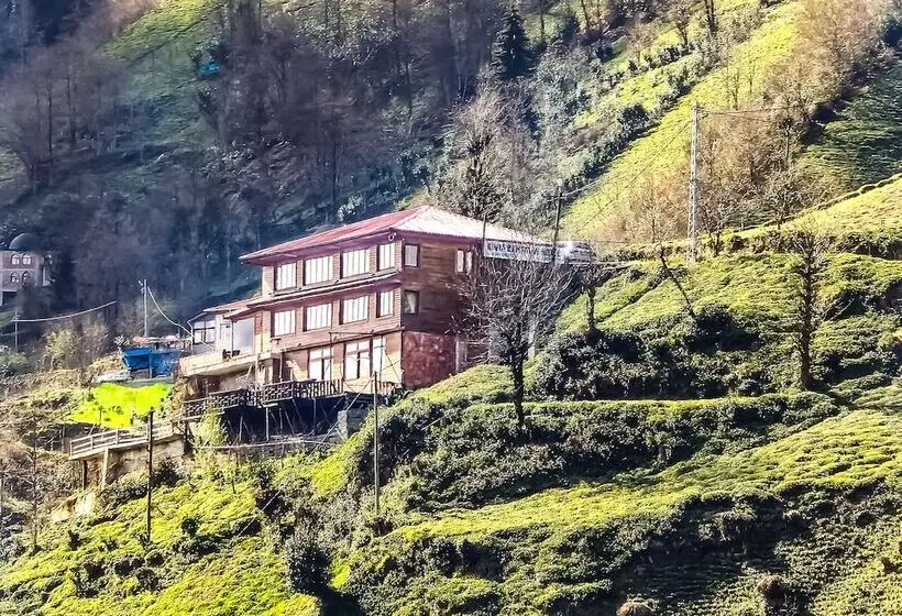 Hotelli Eva Bungalov