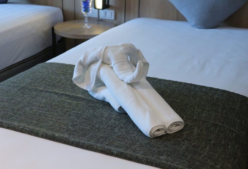 בית מלון כפרי Bella B