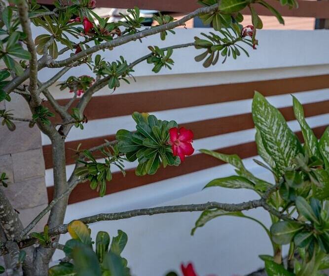 Hotel My Village Lamai