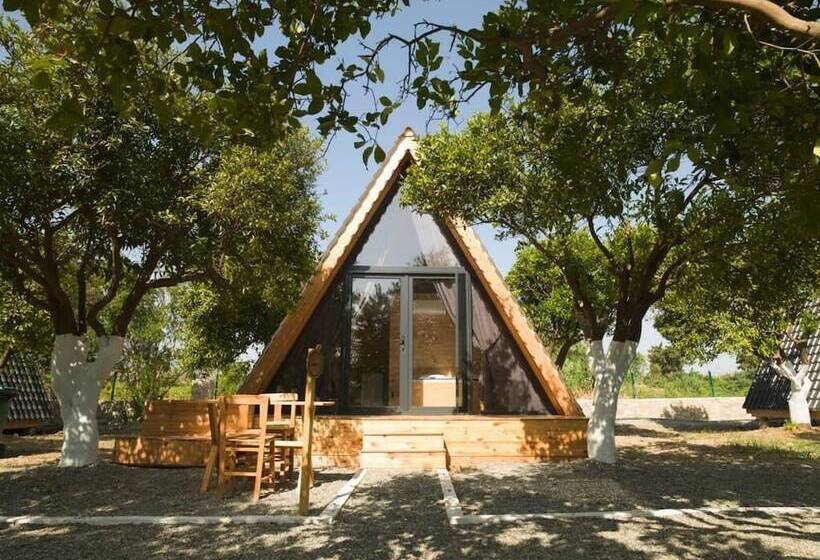 ホテル Limon Datca