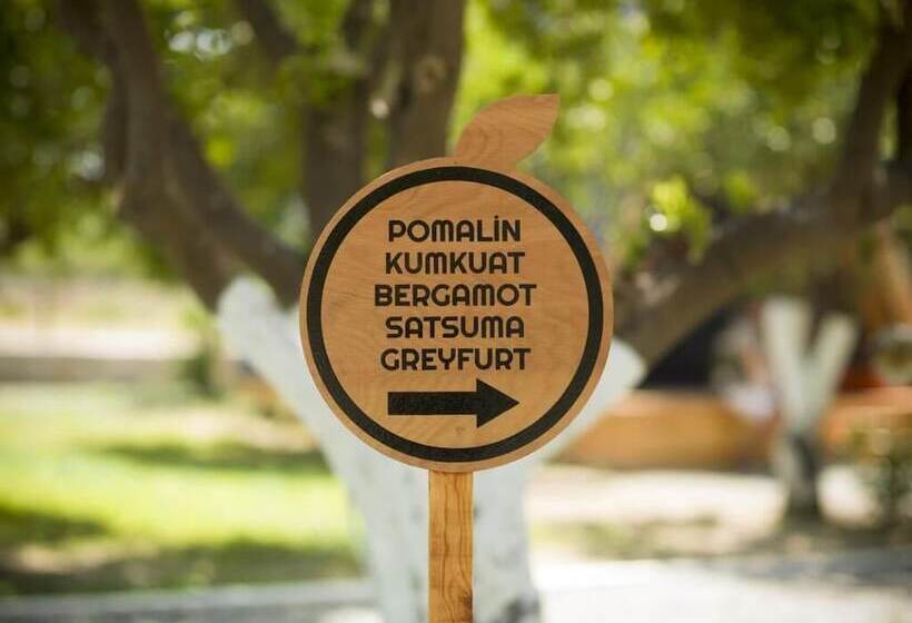 ホテル Limon Datca