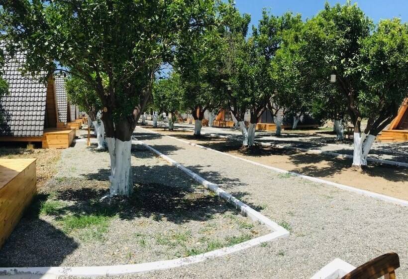 ホテル Limon Datca