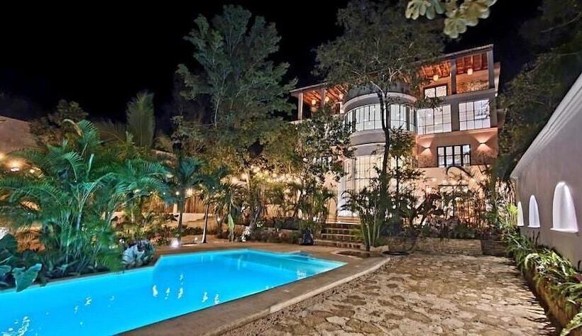 בית מלון כפרי Jungle Mansion & Cuisine